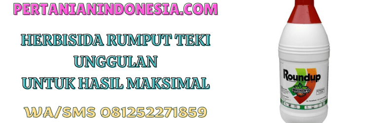 herbisida,rumput,rumput liar,gulma,rumput teki,pertanian indonesia
